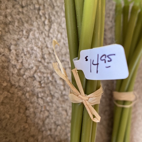 Yellow Cabbage Roses Stems - Picture 3 of 3